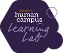 Learning Lab